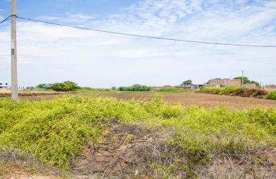 VENTA DE TERRENO DE 9315 M2 EN CARRETERA A PIMENTEL